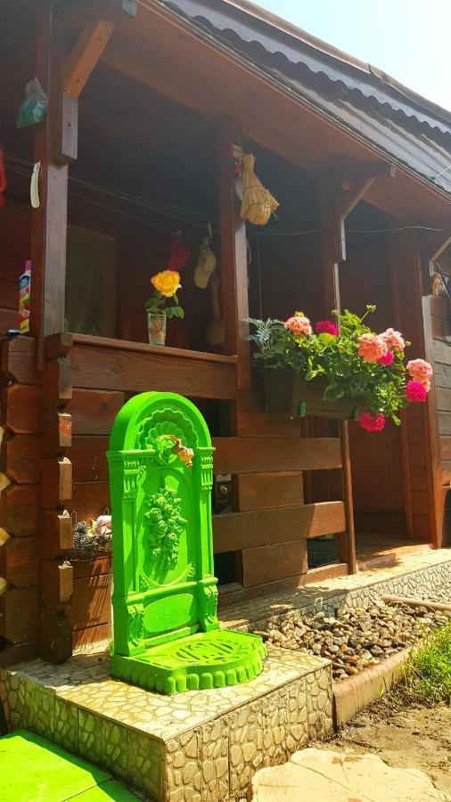 Hotel Casa Ursului Bujoreni Esterno foto